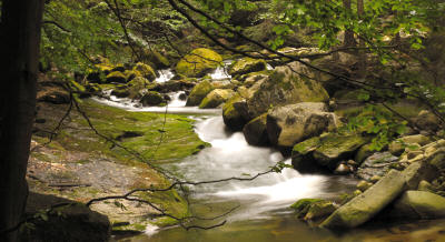 Mountain stream